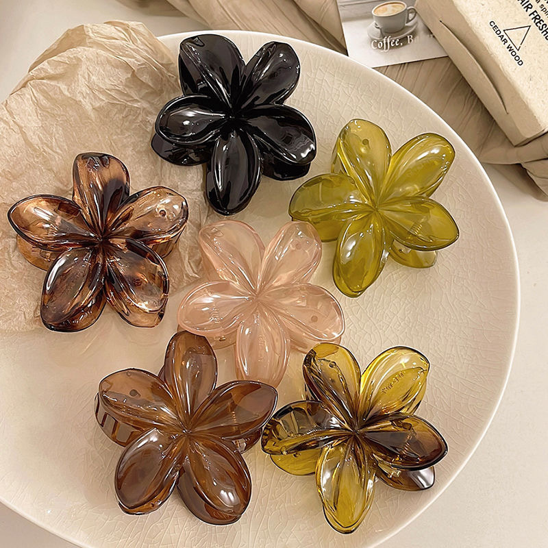 Korean Hawaiian Gradient Flowe - Hair Claw Clip Set review and price