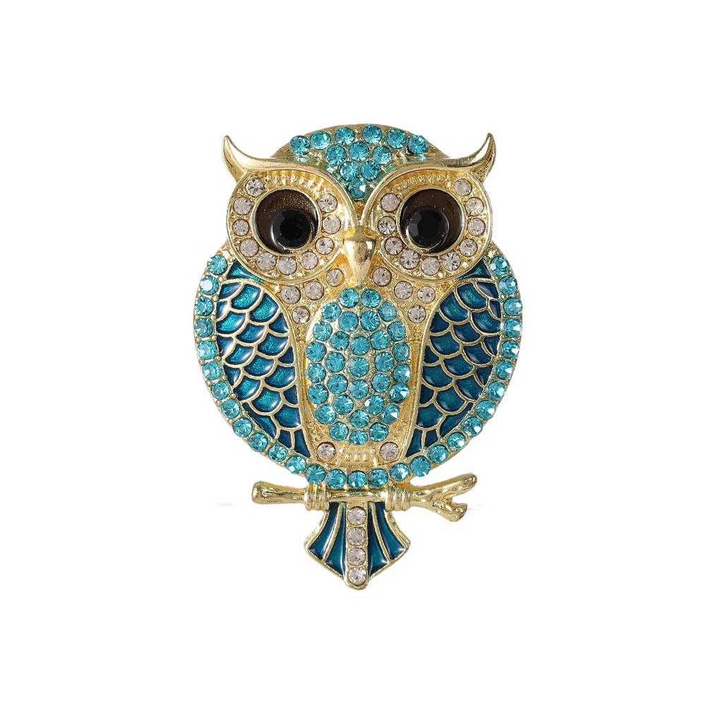 Owl Brooches for Women  Bird C - Women'S Accessories Categories review and price